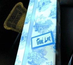 terri lee nude box